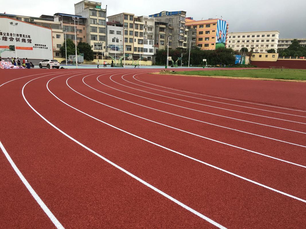 迪庆藏族自治州硅PU塑胶跑道材料 - 排名